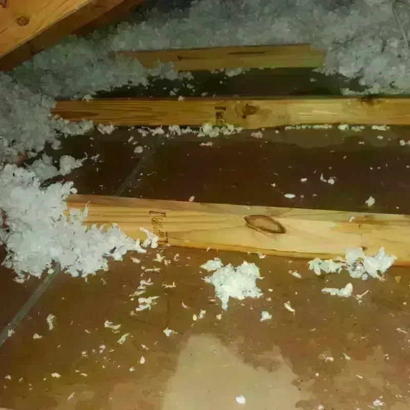 Attic Water Damage in Thurston County, WA