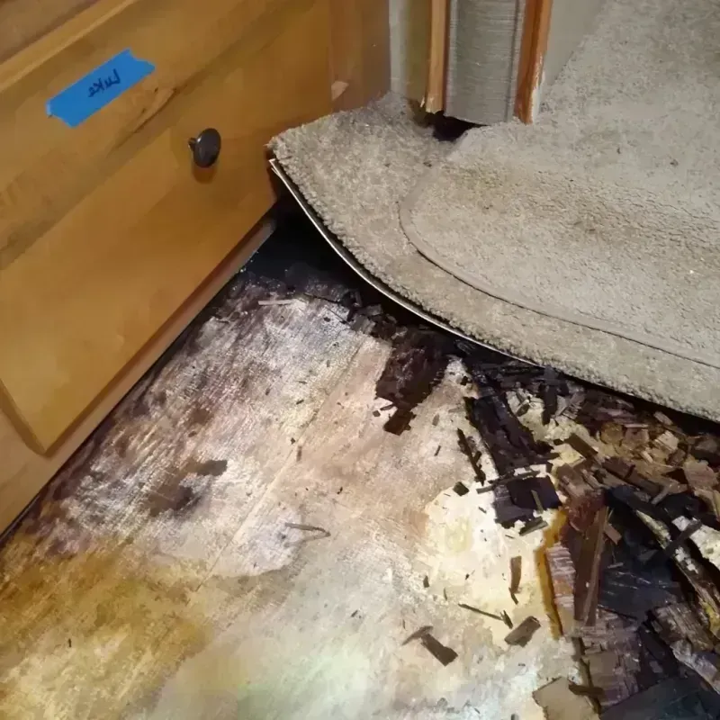 Wood Floor Water Damage in Thurston County, WA